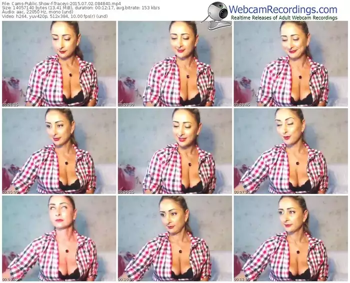 cams-traceyi-public-show-07_02_2015-08_48_40