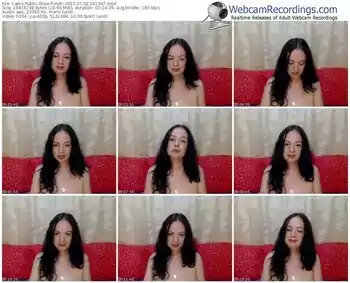 cams-indri-public-show-07_02_2015-16_13_47