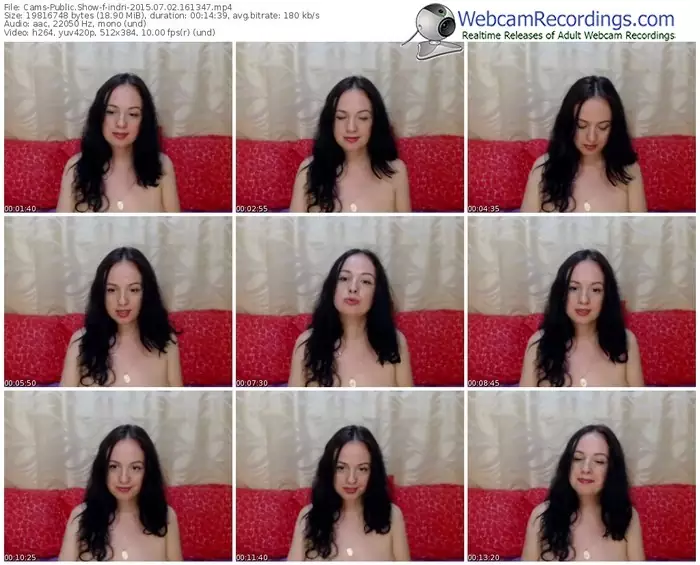 cams-indri-public-show-07_02_2015-16_13_47