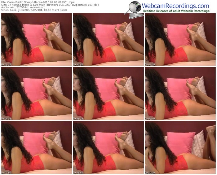 cams-alecsa-public-show-07_03_2015-09_39_01