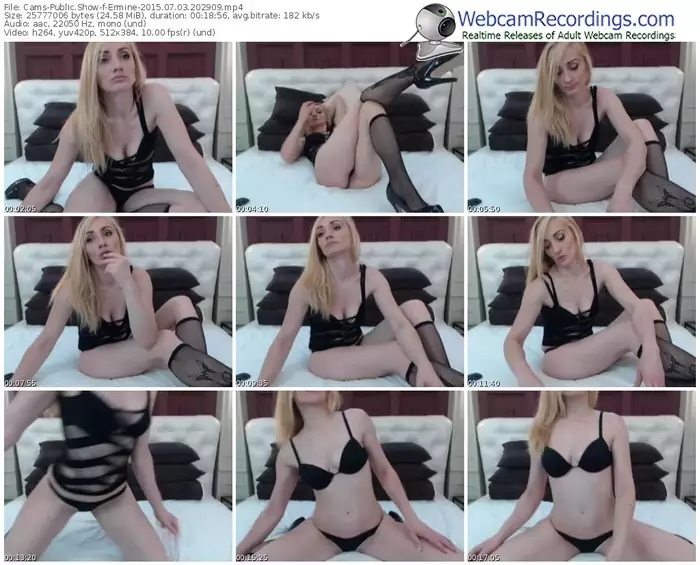 cams-ermine-public-show-07_03_2015-20_29_09