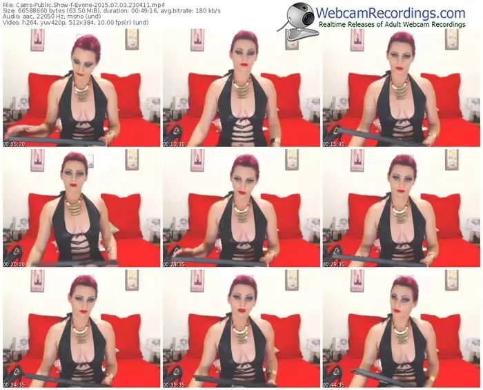 cams-evone-public-show-07_03_2015-23_04_11