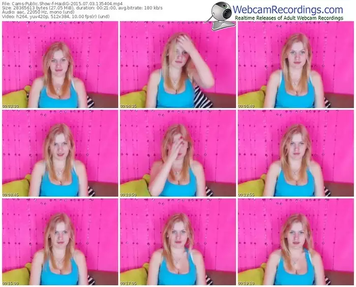 cams-haidig-public-show-07_03_2015-13_54_04