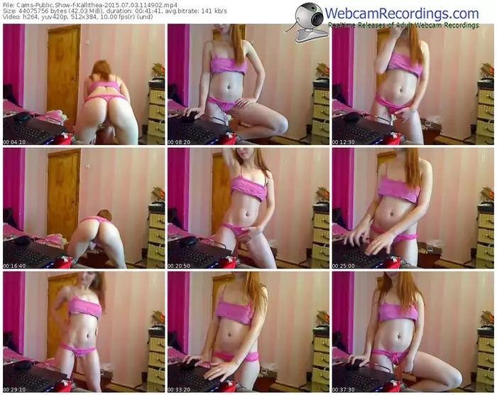 cams-kallithea-public-show-07_03_2015-11_49_02