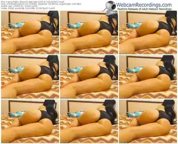 cams-ladycats-public-show-07_03_2015-22_34_11