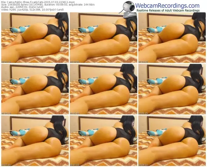 cams-ladycats-public-show-07_03_2015-22_34_11