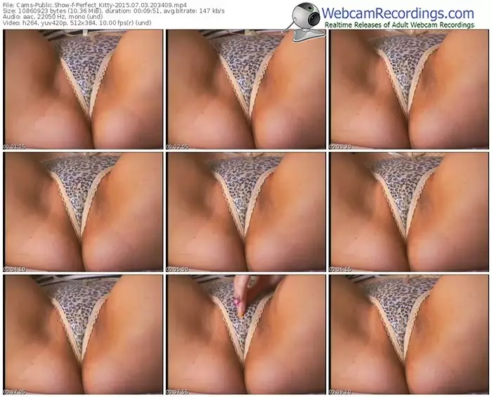 cams-perfect_kitty-public-show-07_03_2015-20_34_09