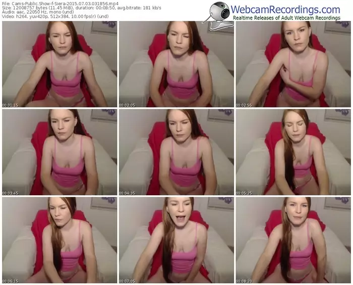 cams-siera-public-show-07_03_2015-03_18_56