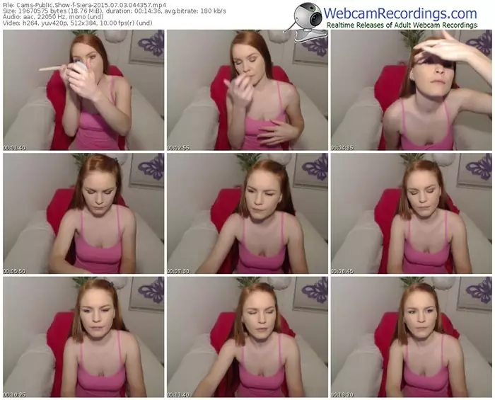 cams-siera-public-show-07_03_2015-04_43_57