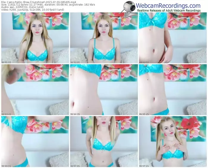 cams-sunshinef-public-show-07_03_2015-08_54_05