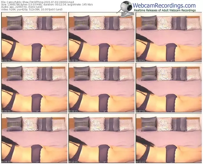 cams-wildthing-public-show-07_03_2015-10_09_02