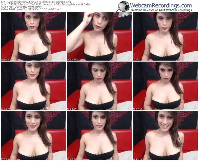 cams-gina_fire-public-show-07_03_2015-20_49_10