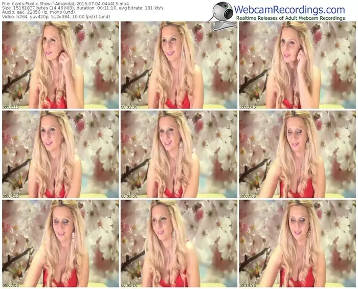 cams-amandal-public-show-07_04_2015-04_44_15