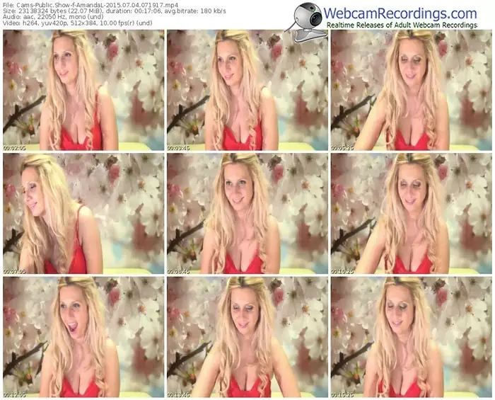 cams-amandal-public-show-07_04_2015-07_19_17