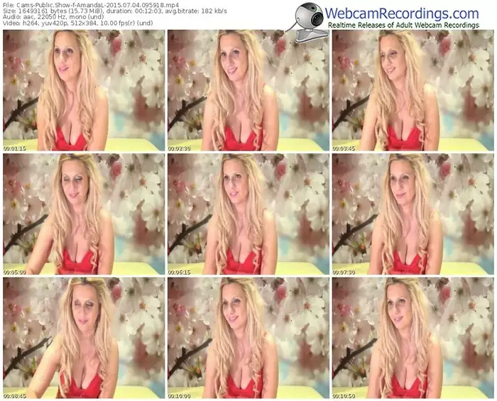 cams-amandal-public-show-07_04_2015-09_59_18