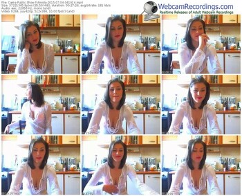 cams-amida-public-show-07_04_2015-04_19_14