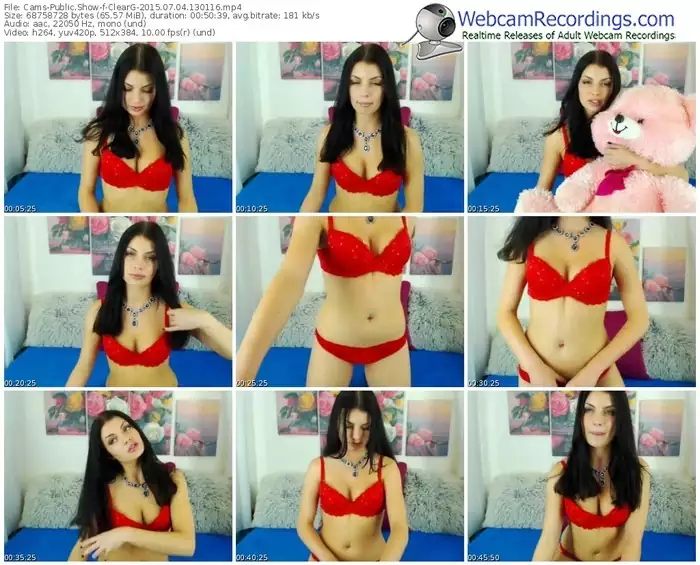 cams-clearg-public-show-07_04_2015-13_01_16