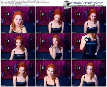 cams-controllabletoy-public-show-07_04_2015-15_07_20