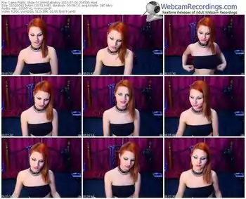 cams-controllabletoy-public-show-07_04_2015-20_45_35