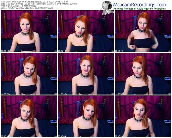 cams-controllabletoy-public-show-07_04_2015-20_45_35