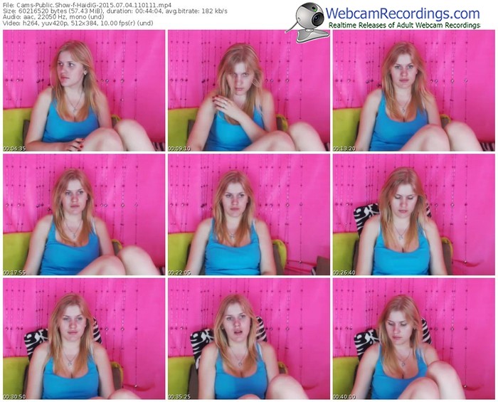 cams-haidig-public-show-07_04_2015-11_01_11