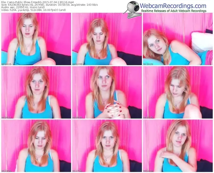 cams-haidig-public-show-07_04_2015-13_01_16