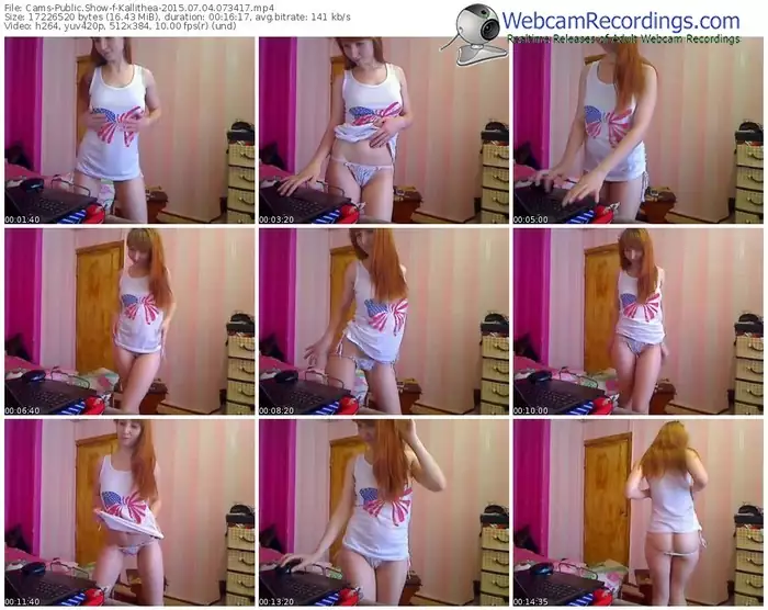 cams-kallithea-public-show-07_04_2015-07_34_17