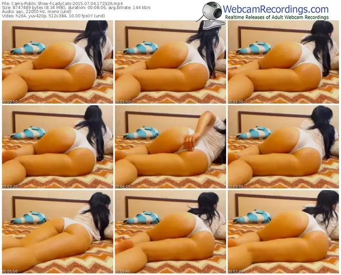 cams-ladycats-public-show-07_04_2015-17_23_26