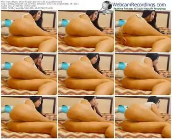 cams-ladycats-public-show-07_04_2015-22_25_40