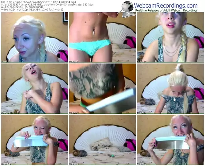 cams-pamelavss-public-show-07_04_2015-20_13_34