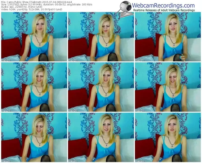 cams-sabinem-public-show-07_04_2015-08_34_18