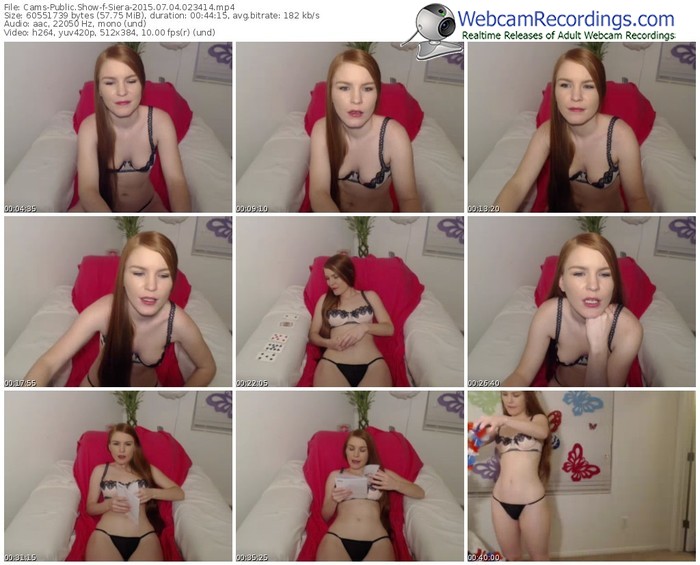 cams-siera-public-show-07_04_2015-02_34_14