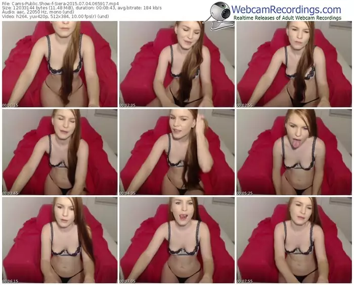 cams-siera-public-show-07_04_2015-06_59_17
