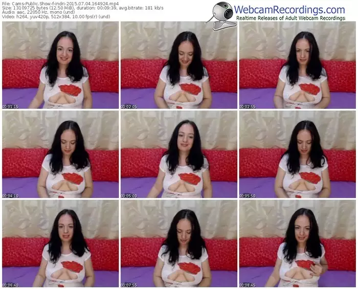 cams-indri-public-show-07_04_2015-16_49_24