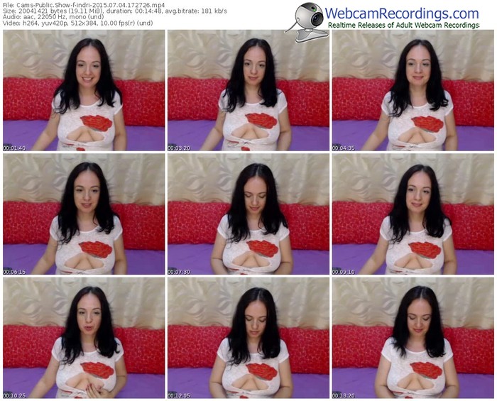 cams-indri-public-show-07_04_2015-17_27_26