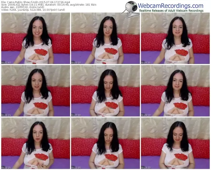 cams-indri-public-show-07_04_2015-17_27_26