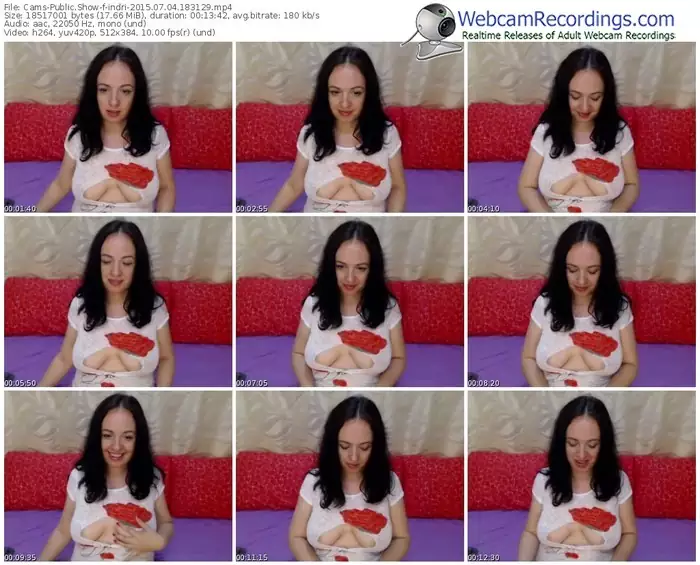 cams-indri-public-show-07_04_2015-18_31_29