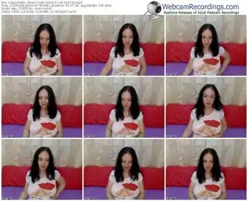 cams-indri-public-show-07_04_2015-19_47_32