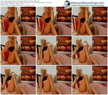 cams-ramitin-public-show-07_04_2015-23_23_42