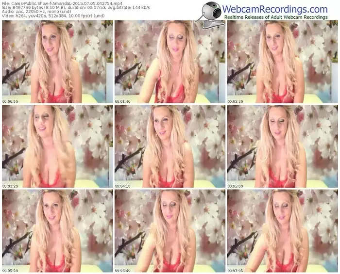 cams-amandal-public-show-07_05_2015-04_27_54