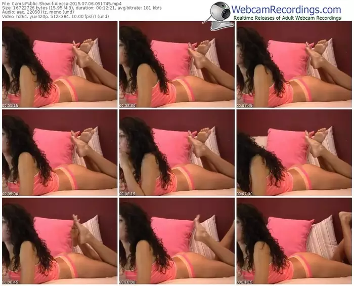 cams-alecsa-public-show-07_06_2015-09_17_45