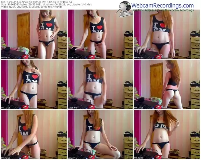 cams-kallithea-public-show-07_06_2015-11_27_48