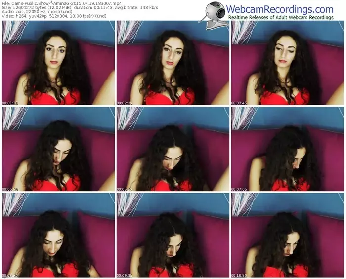 cams-aminag-public-show-07_19_2015-18_30_07