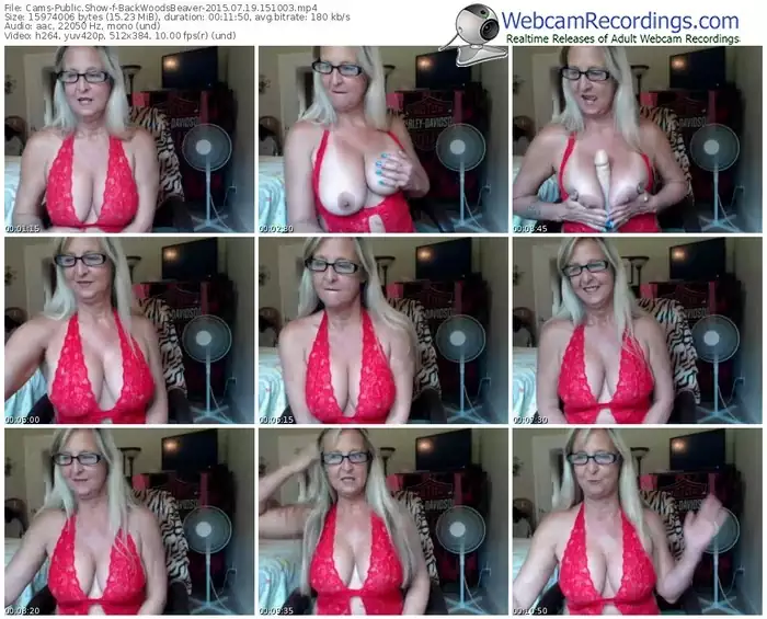 cams-backwoodsbeaver-public-show-07_19_2015-15_10_03