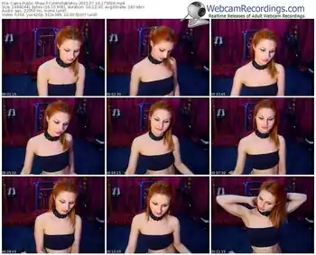 cams-controllabletoy-public-show-07_19_2015-17_30_06