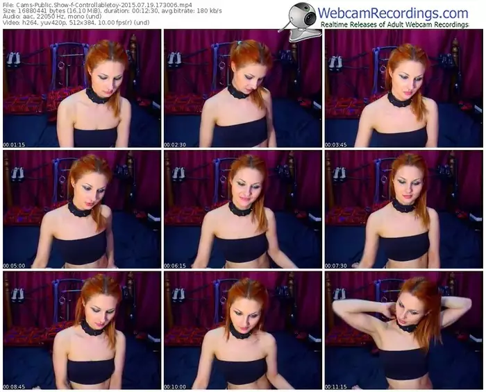 cams-controllabletoy-public-show-07_19_2015-17_30_06