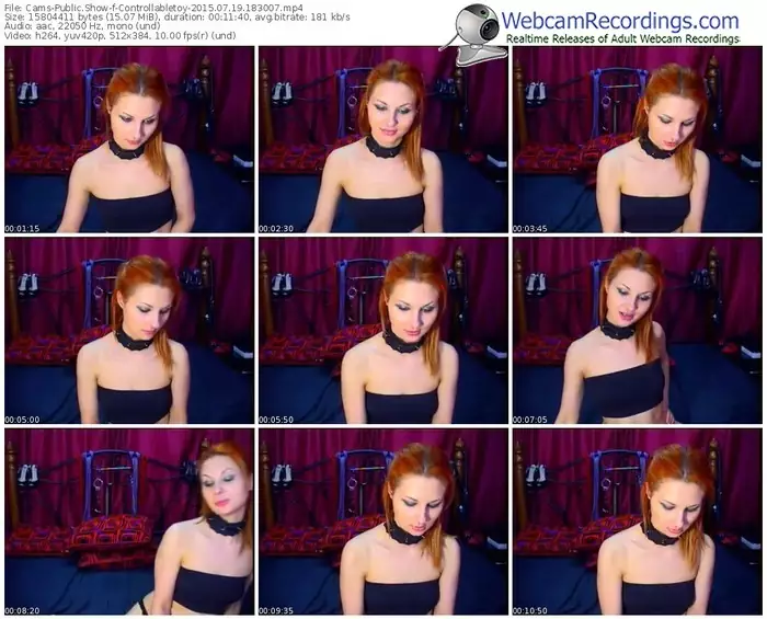 cams-controllabletoy-public-show-07_19_2015-18_30_07