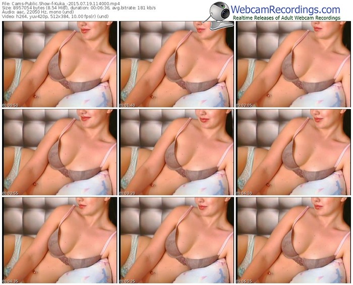 cams-kuka_-public-show-07_19_2015-11_40_00