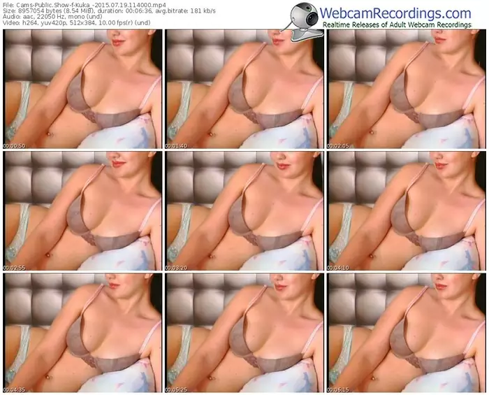 cams-kuka_-public-show-07_19_2015-11_40_00