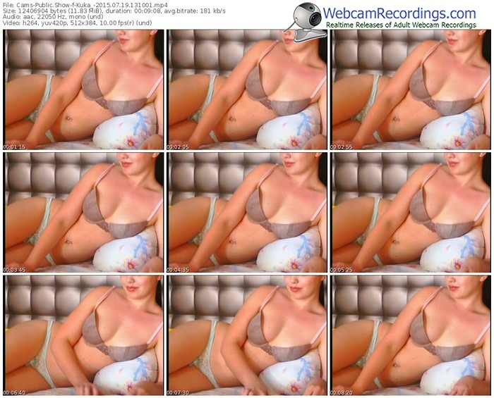 cams-kuka_-public-show-07_19_2015-13_10_01